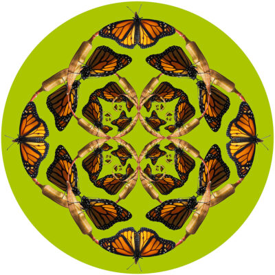 12 Goldenratiomonarchmedallion