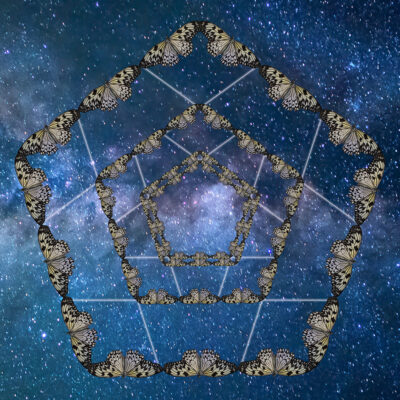 Milkway Butterfly Tessellations2