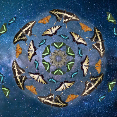 Milkyway Butterfly Tessellation1 1