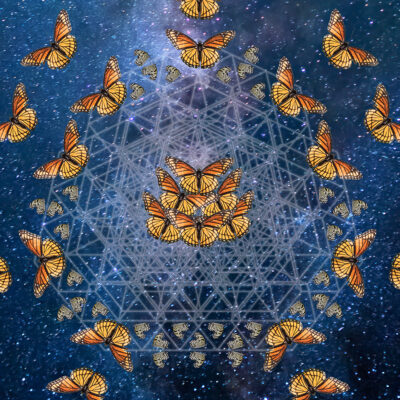 Milkyway Butterfly Tessellation 3